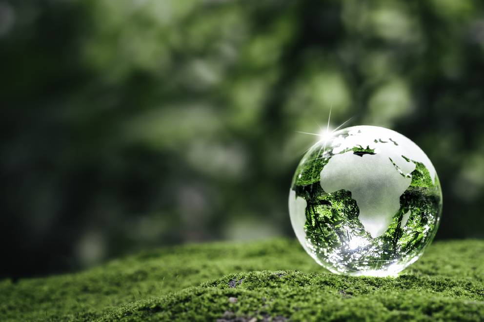 Sustainable-Window-Manufacturing