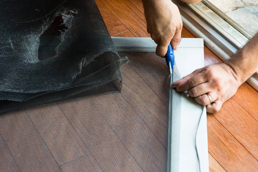 when-to-replace-window-screens(1)