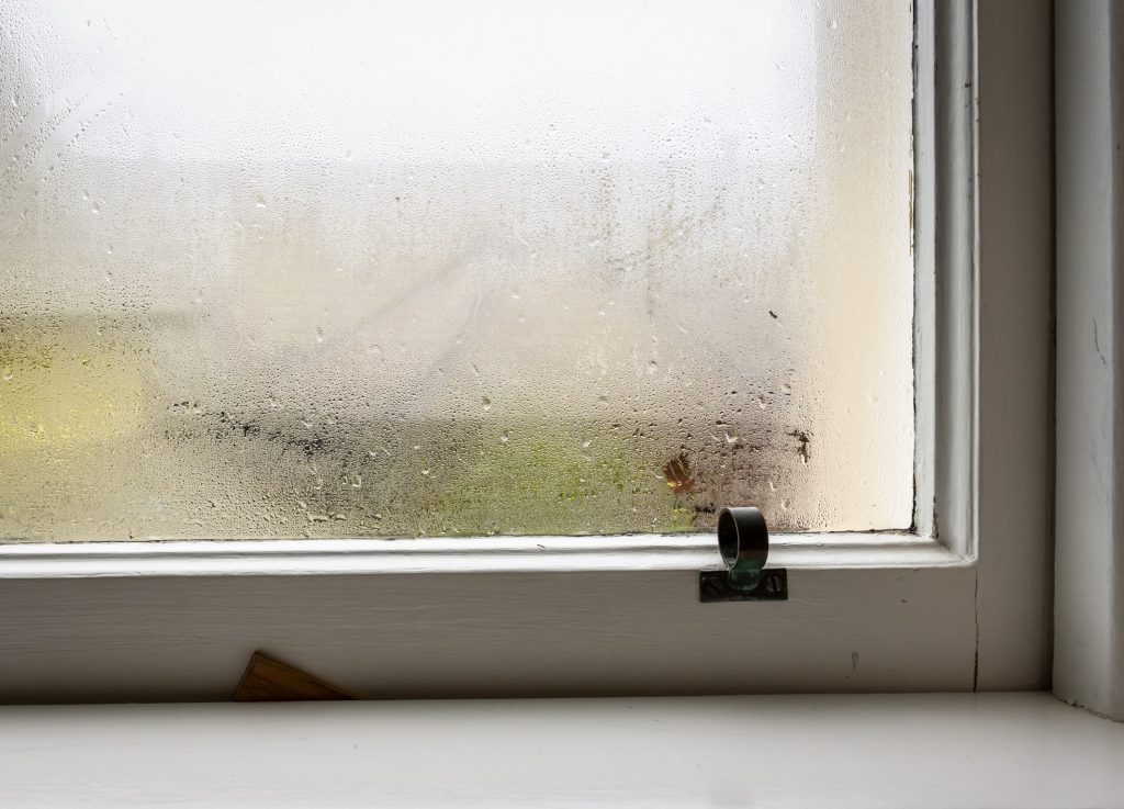 Condensation Window