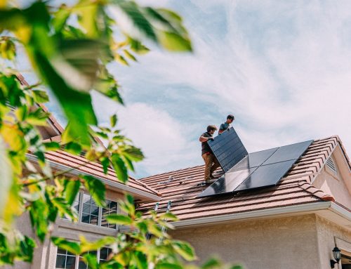 Are European Windows a Good Choice for Green Buildings?