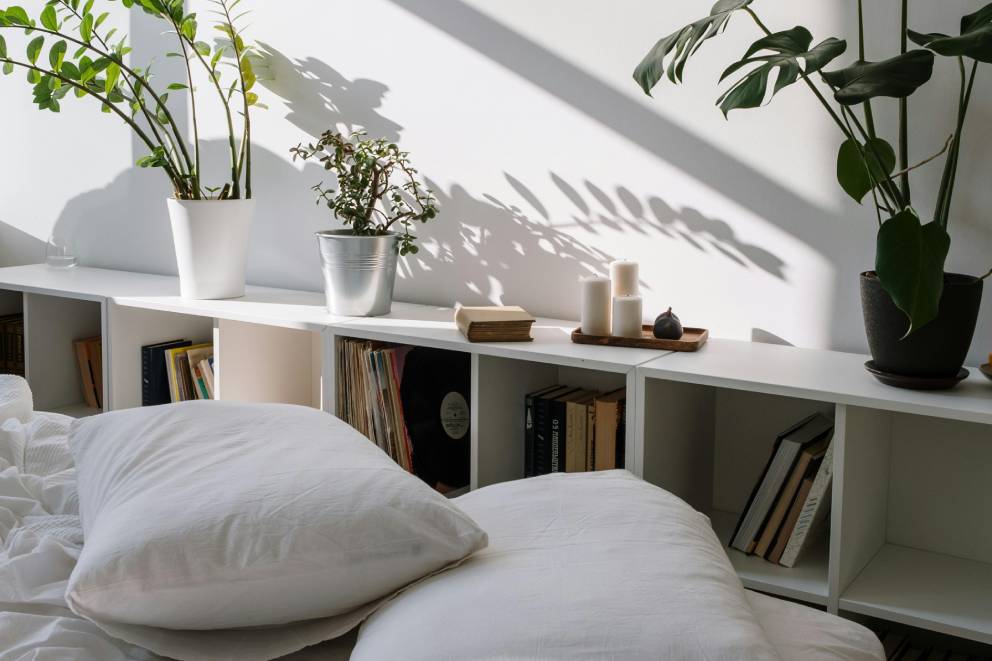 Bioliphic bedroom bioliphic bedroom